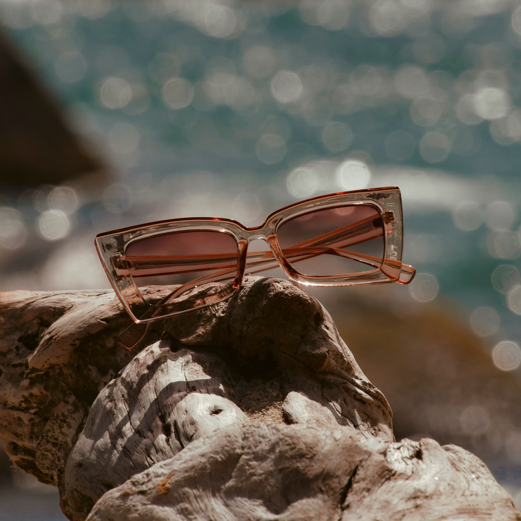 Gafas de Sol Vintage Cat Cafe