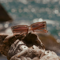 Gafas de Sol Vintage Cat Cafe