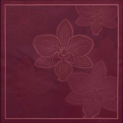 Diseño sin título.zip 6